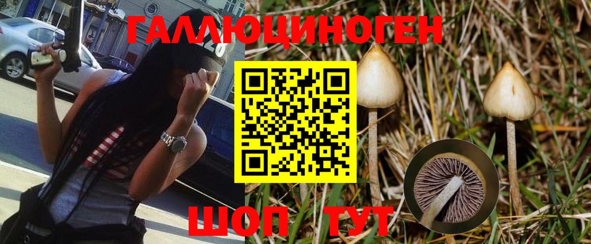 Коряжма  Псилоцибиновые грибы MAGIC MUSHROOMS  Вход с VPN  Псилоцибиновые грибы мухоморы 